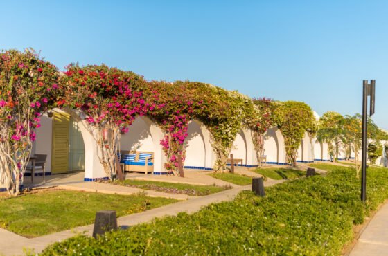 Dubai Miracle Garden-Floral Wonderland