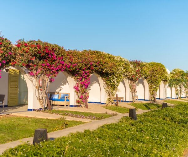 Dubai Miracle Garden-Floral Wonderland